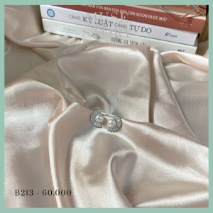 Khuyên tai cánh quạt với thiết kế lạ mắt B213